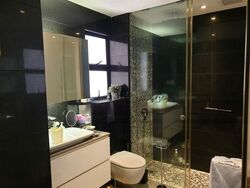Dover Parkview (D5), Condominium #461552621
